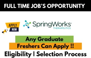 Springwork Hiring For Work From Home