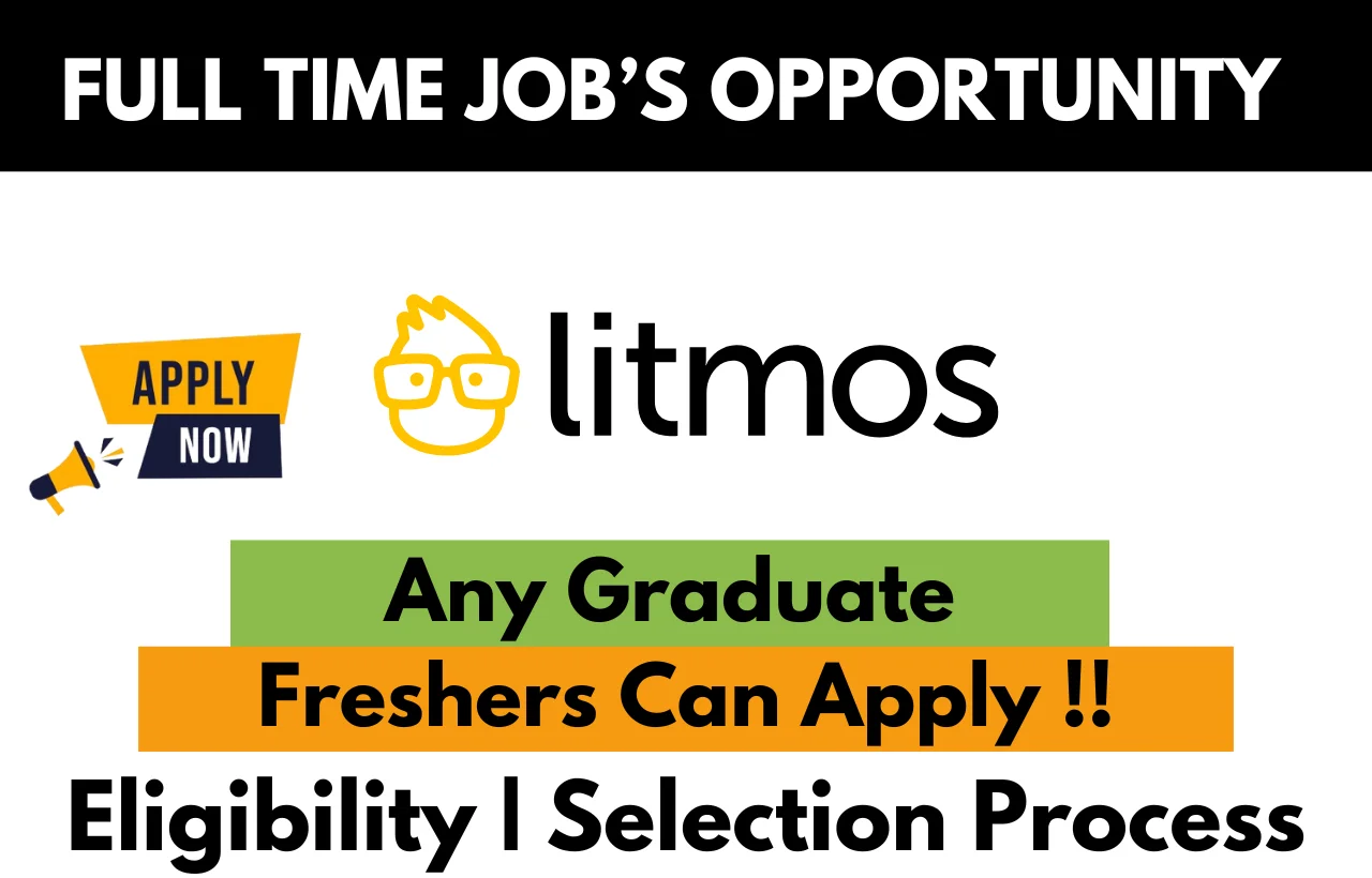 Litmos Hiring For Work From Home