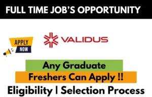 Validus Hiring For Work from Home