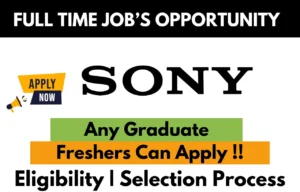Sony Hiring For Work From Home